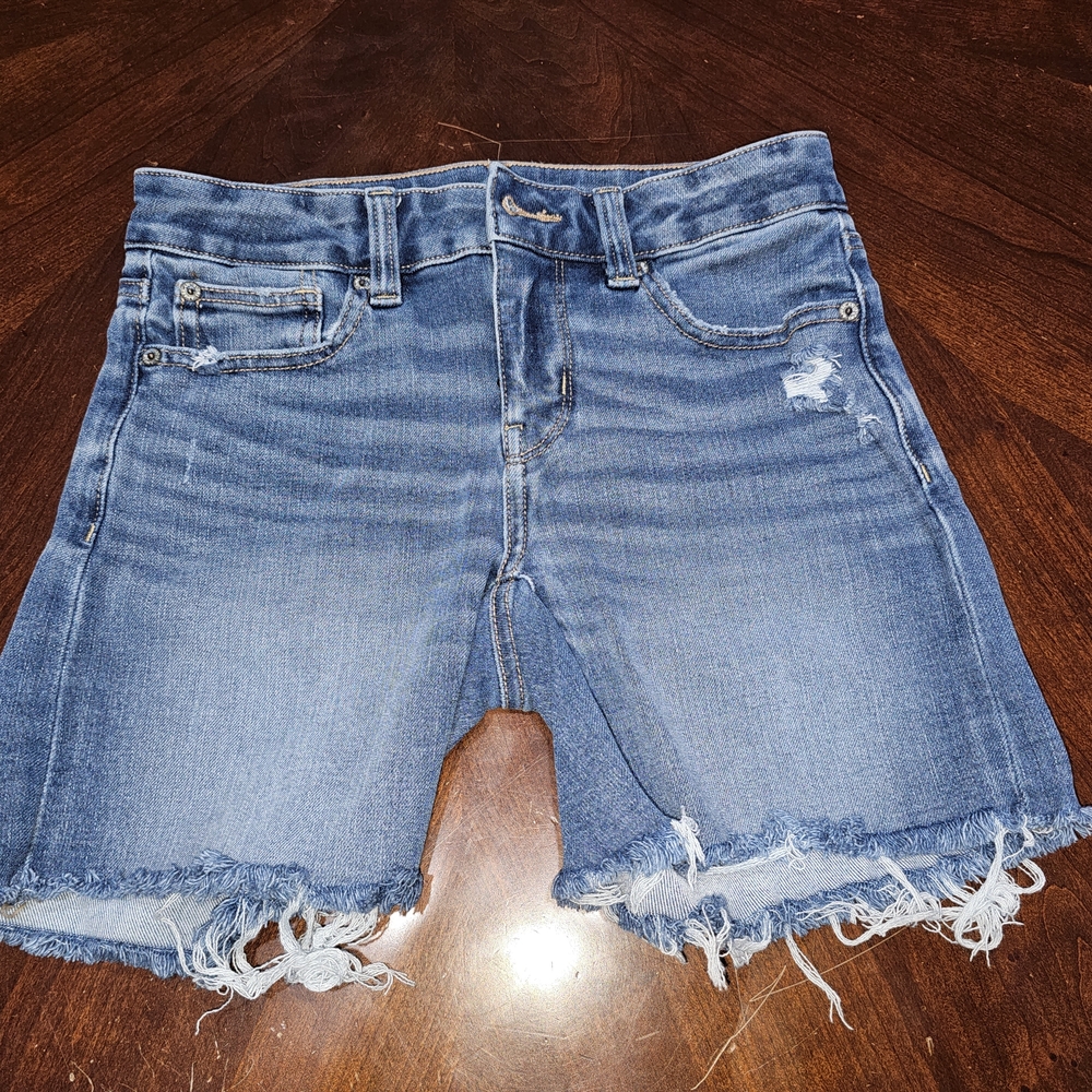 American Eagle Outfitters Womans Blue Distressed Frayed Denim Jean Shorts Size 2